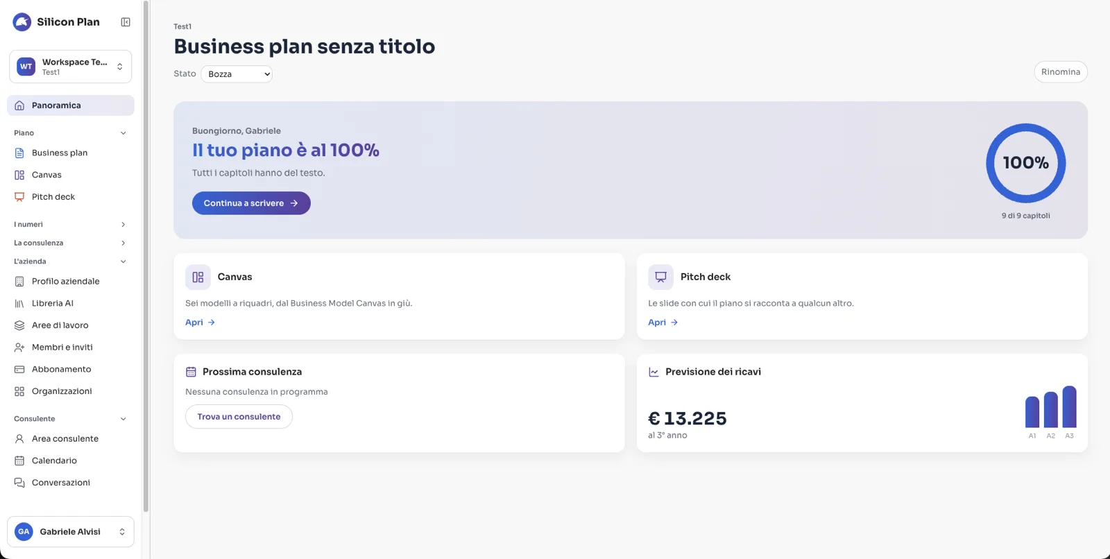 Silicon Plan: la panoramica del business plan